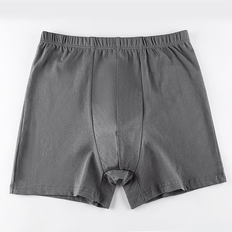 綿男性パンティーパンツメンズボクサールーズビッグプラスサイズ - Boxer Brief Pack Cotton のレビューと価格